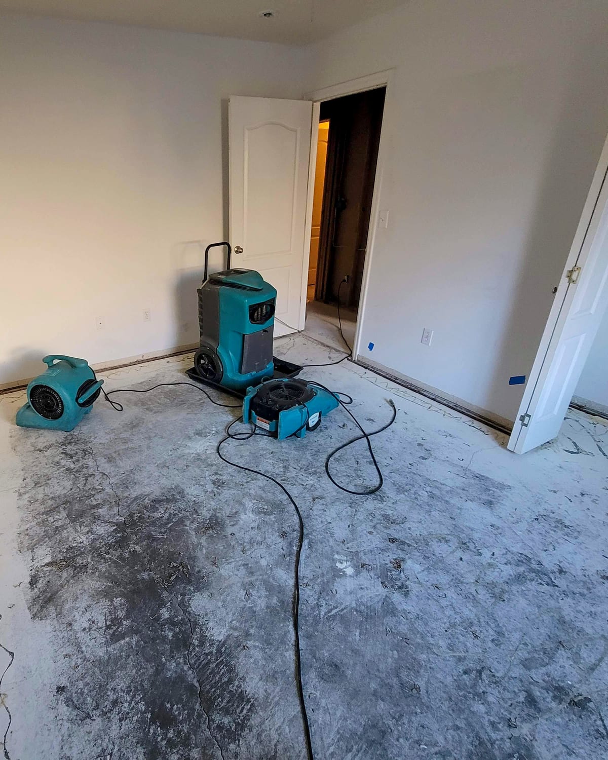 Damp Proofing in Chiswick, London