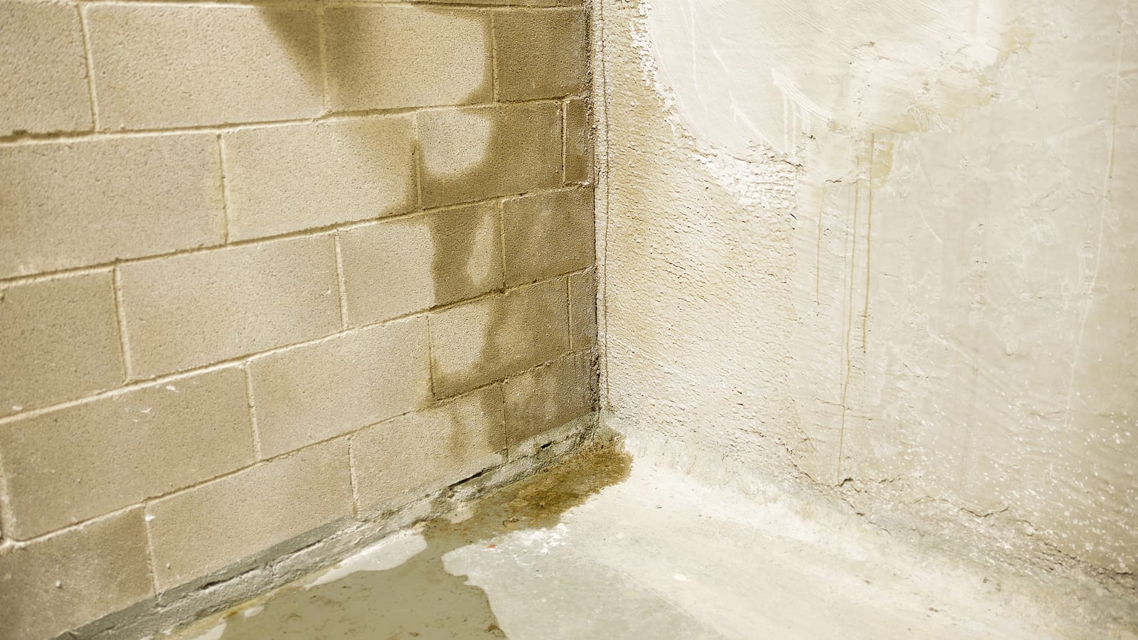 Damp Proofing in Chiswick by J P Building Services