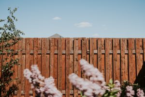 fencing